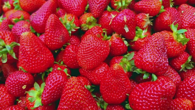 Delicious Fresh Ripe Strawberries Footage.