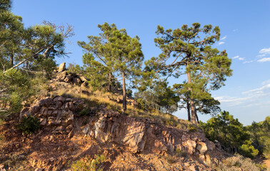 Fototapeta na wymiar Mountains landscape, nature scenery. Green trees and huge cobblestones in mountain rock. View at Peak of Mola de Segart, mountain in Sierra Calderona, Spain. Landscape of a mountain valley. Stone rock