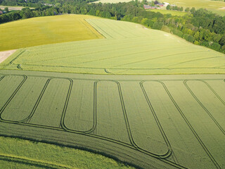 Treckerspuren der Aussat auf einem Feld aus der Luft aufgenommen