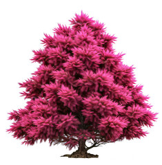 Pink magenta tree isolated on transparent background, PNG