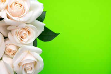 bouquet of roses with dew drops close-up on a green background. Space for text. Natural background...