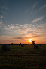 field at sunrise