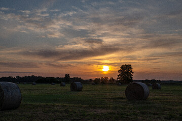 field at sunrise © Dydziu_foto