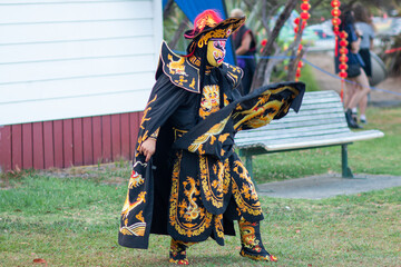 Chinese New Year Performance | Person in Traditional Costume Performing athletic and fighting...