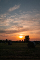 field at sunrise © Dydziu_foto