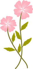 Blossom flower and green leaf