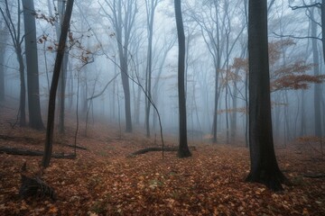 misty woods. Generative AI