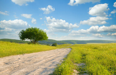 Road on green meadow