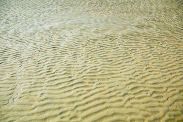 Yanguan Resort Scenic Area, Haining City, Zhejiang Province-river beach scenery under clear sky