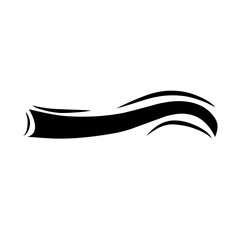 Fototapeta premium calligraphic swoosh tail