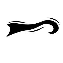 Fototapeta premium calligraphic swoosh tail