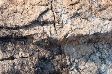 Rough cracked gray stone texture for background