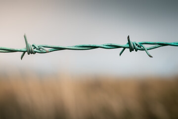 Barbed wire on a fence on a farm
