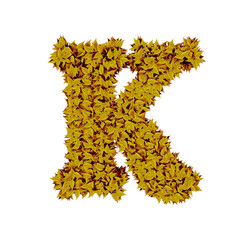 Obraz premium Symbol from yellow leaves. letter k