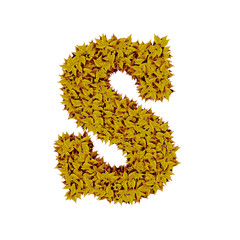 Symbol from yellow leaves. letter s