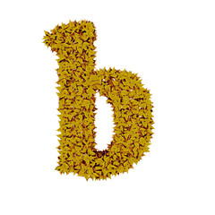 Symbol from yellow leaves. letter b