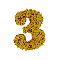 Symbol from yellow leaves. number 3