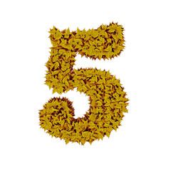 Symbol from yellow leaves. number 5