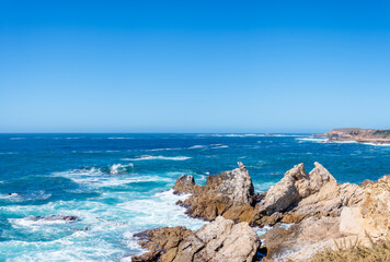 Point Lobos, California