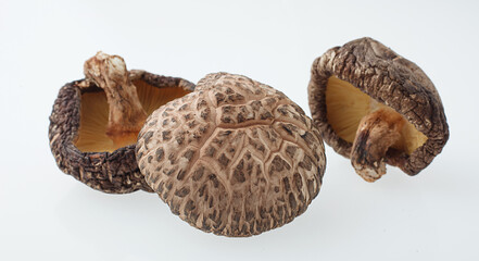 冬子　　干し椎茸