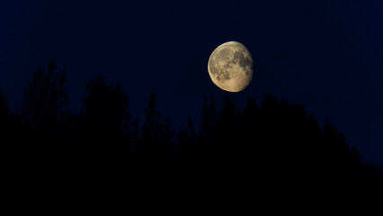 Fototapeta na wymiar Cool White Balanced Moon Rising over Fairbanks , Alaska