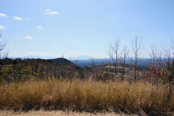 原っぱが広がる柳ヶ平散策路展望台の風景