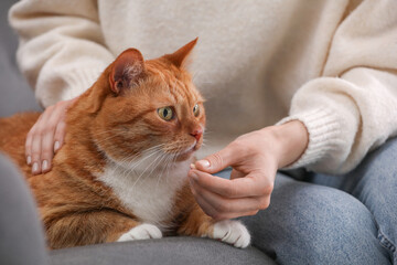 Woman giving vitamin pill to cute cat on sofa, closeup