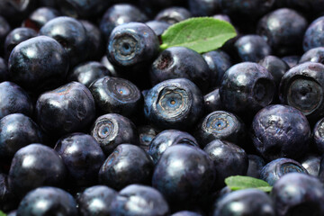 Many delicious ripe bilberries and green leaves as background, closeup