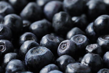 Many delicious ripe bilberries as background, closeup