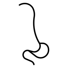 Esophagus, anatomy, healthy, body, medical