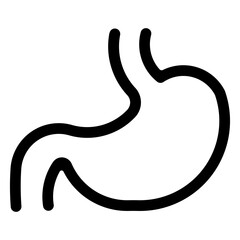 Stomach, gastric, digestion, anatomy, healthy