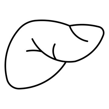 liver, cancer, gallbladder, pancreases, anatomy
