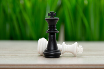 Summer chess tournaments . Chess on the background of grass.The black chess king defeats the white...