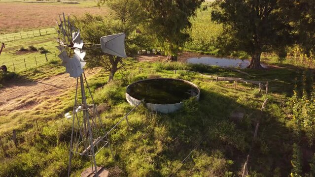 Molino de viento y estanque tomados por un dron a poca altura en un campo sembrado con girasoles