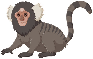Cute common marmoset cartoon isolated on white background. Vector illustration