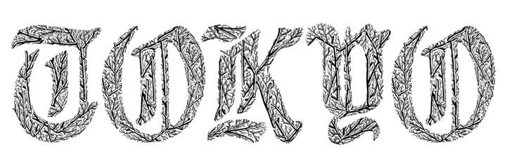 tokyo word with branches hand drawing vector isolated on background.