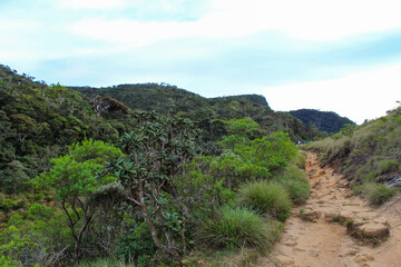 Fototapeta na wymiar Beautiful view of The Horton Plains. The path through the park, Sri Lanka