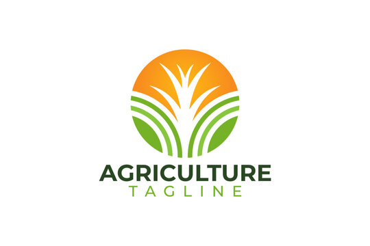 Agriculture farm vector and logo