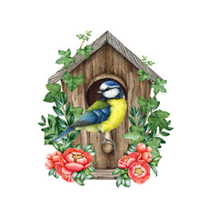 Cute little blue tit bird on the birdhouse with spring flowers decor. Watercolor illustration. Cozy spring decoration. Blue tit nesting in the wooden birdhouse, blooming spring flowers, green leaves