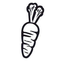 Vibrant Carrot: Vector Carrot Illustration