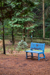 Empty blue wooden bench in the park.