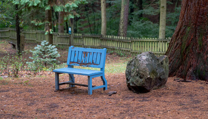 Empty blue wooden bench in the park.