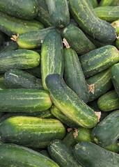 fresh cucumbers at the farmer's market 