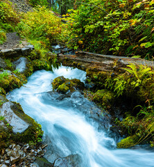 Cascades In The Forest on Wahkeena Creek, Columbia River Gorge, Oregon, USA