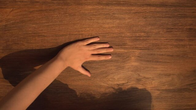 Close-up of a woman's hand touching a wooden wall surface 4K