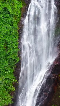 Waterfall in the jungle. Mohini Falls in the rainforest. Sri Pada, Sri Lanka.