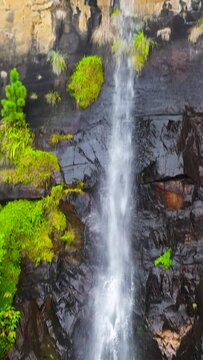 Bambarakanda Falls waterfall in a mountain gorge in the tropical jungle. Waterfall in the tropical forest. Sri Lanka.