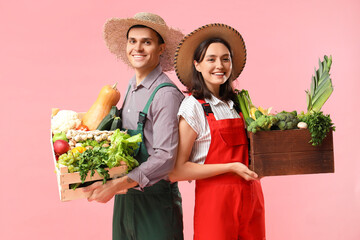 Young farmers with fresh vegetables on pink background