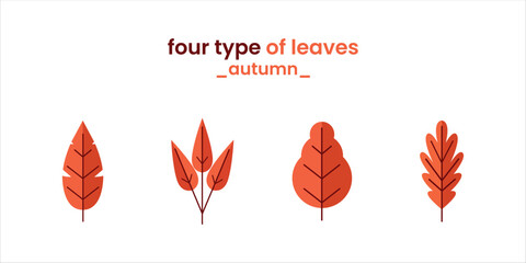 illustration five type of leaves-autumn edition-orange leaves isolated white background