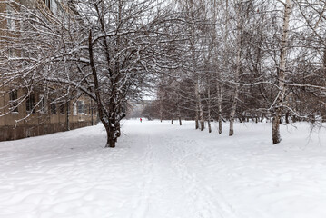 Winter cityscape with a snow-covered path along an alley with snowy trees on a cold day